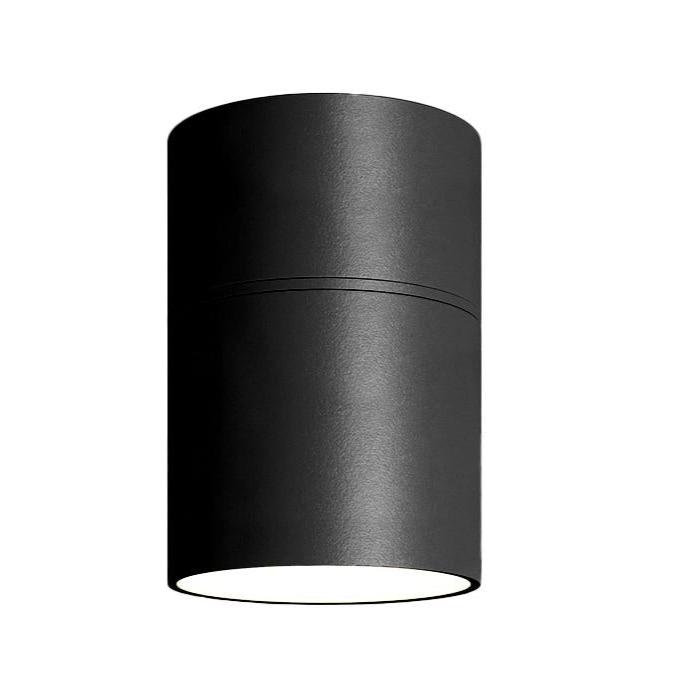 Pivot Ceiling Light