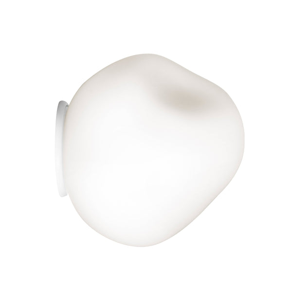 Hoba Wall Ceiling Light Piccola by Foscarini